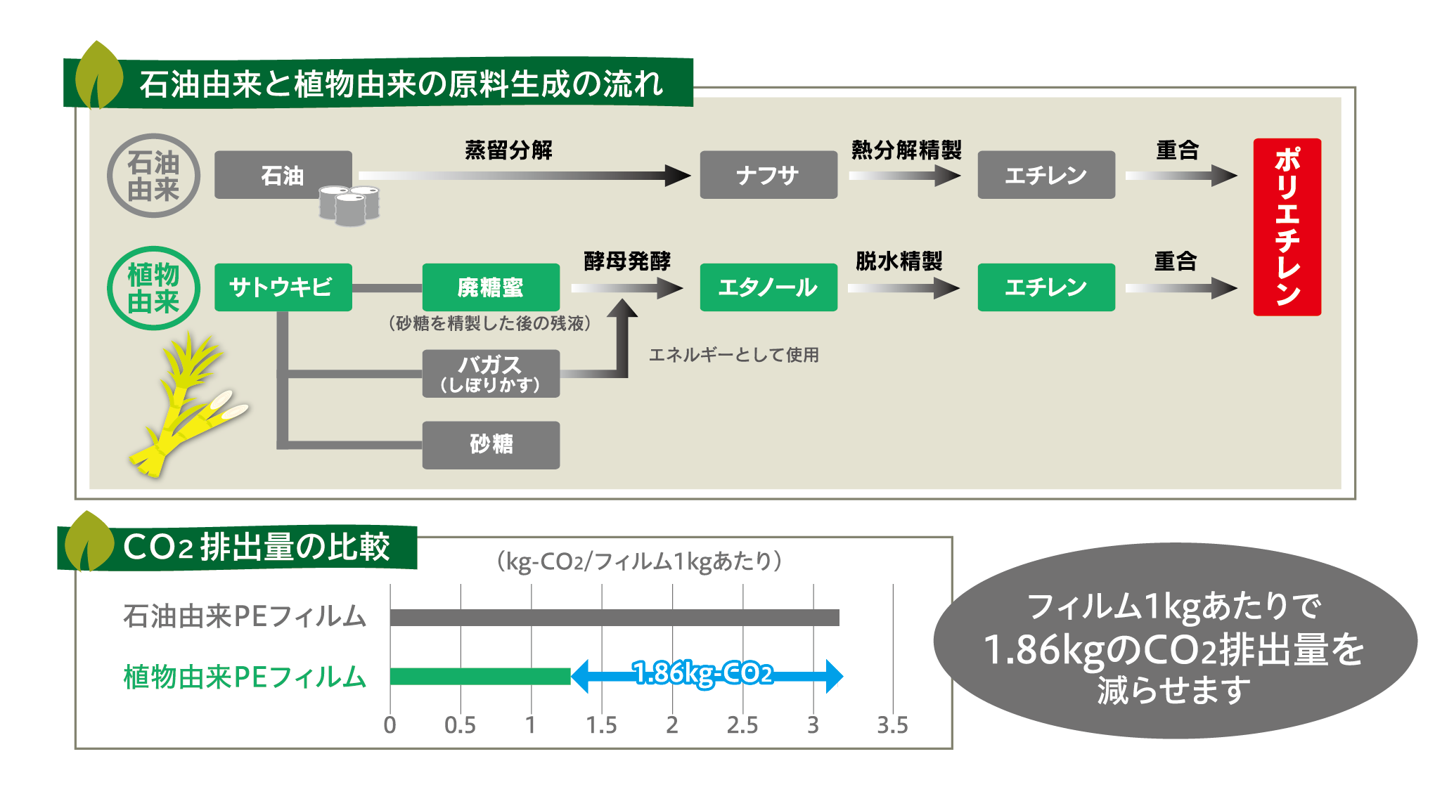 バイオポリエチレン